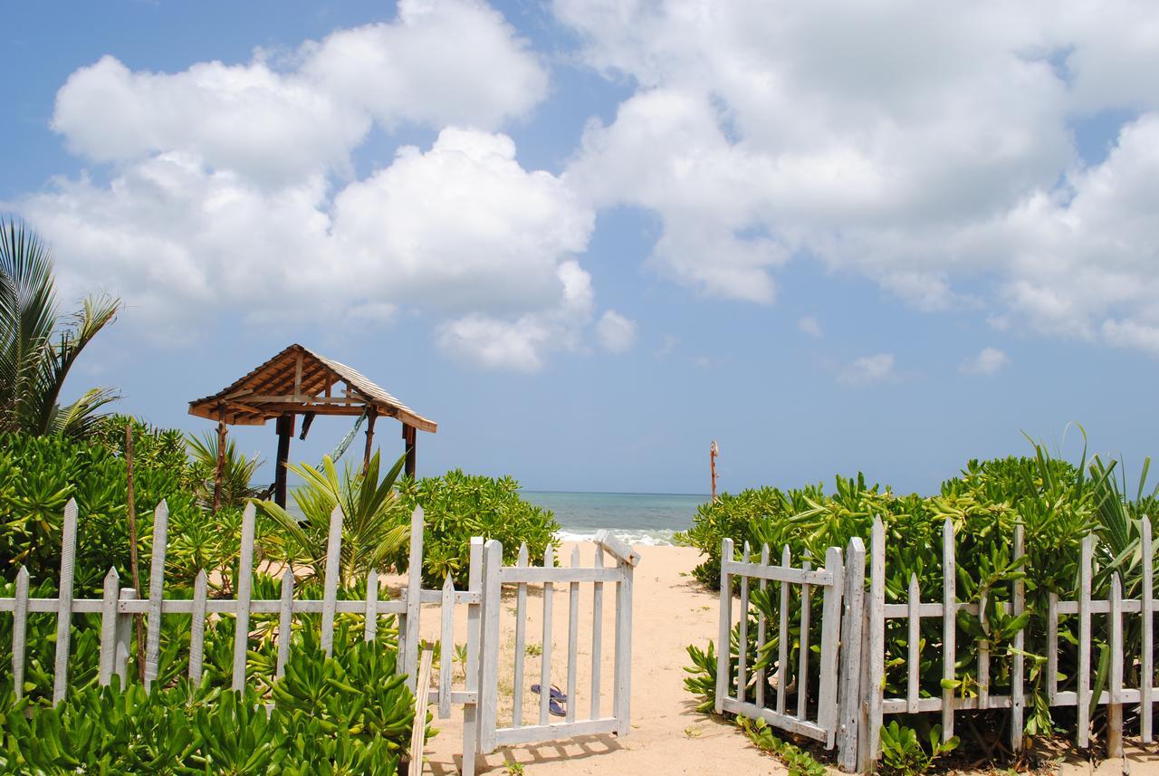 Asha Beach & Spa Tangalle Eksteriør billede