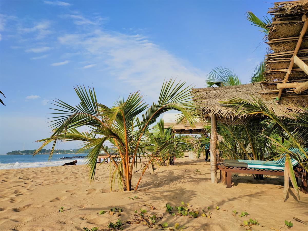 Asha Beach & Spa Tangalle Eksteriør billede